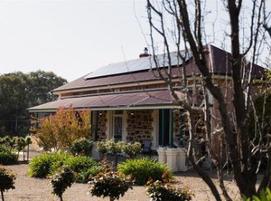 Barossa Shiraz Estate | Lyndoch