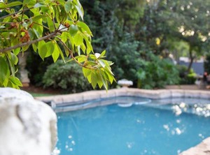 Ben Breakfast | Baileys Muckleneuk