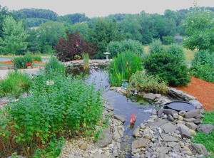 Berry Patch Breakfast | Ono