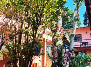 Biergarten | Ilha Grande