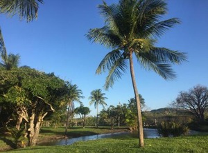 Blue Marlin Resort | Cotovelo