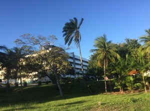 Blue Marlin Resort | Cotovelo