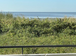 Haus Habel Wyk | Wyk auf Foehr