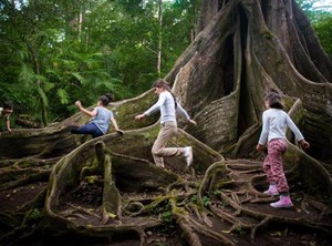 Buena Vista Del Rincon Eco Adventure Park Hotel | Canas Dulces