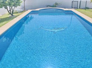 Bungalow Ramos | Conil de la Frontera