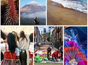 Los Balandros | Palm-Mar