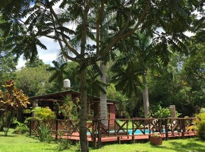 Carnaval | Zona Granja