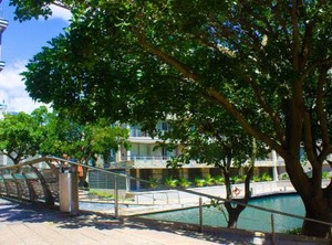 Canal Quays | Victoria and Alfred Waterfront