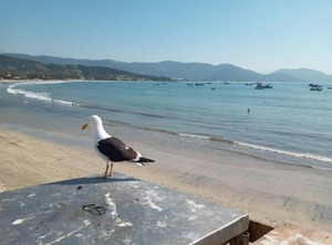 Ferrugem Casa | Centro