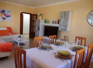 Tahiche Internet Garden | Tahiche