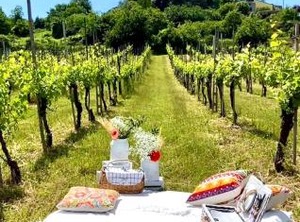 Casale Serena | Fabro