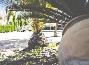 Bedrooms Terrace At Estepa | Estepa