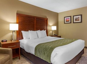 Comfort Inn Apex Holly Springs | Apex