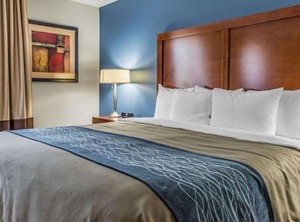 Comfort Inn Belle Vernon | Rostraver