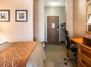 Comfort Inn Chelsea | Chelsea