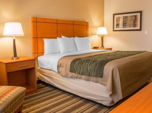 Comfort Inn Metro Airport | Romulus