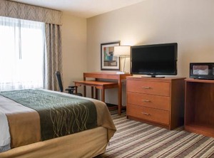 Comfort Inn Metro Airport | Romulus
