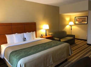 Comfort Inn Metro Airport | Romulus