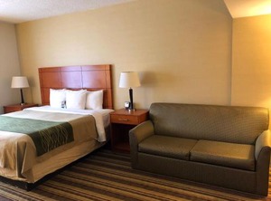 Comfort Inn Metro Airport | Romulus