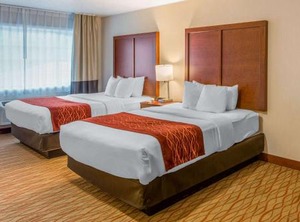 Comfort Inn Weed | Weed