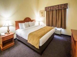 Comfort Inn Suites Jupiter | Jupiter