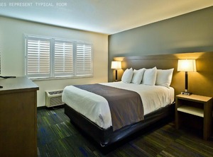 Crestview Business | Cuernavaca