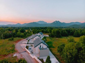 Degenia Velebitica | Lovinac