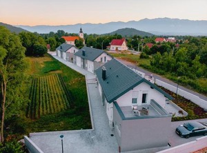 Degenia Velebitica | Lovinac