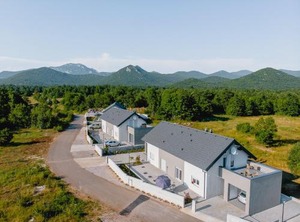 Degenia Velebitica | Lovinac