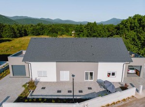 Degenia Velebitica | Lovinac