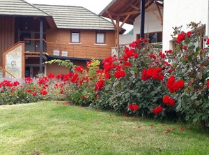 Departamento En Villa Huapi | Dina Huapi