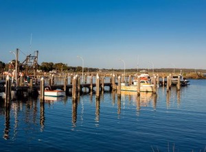 Discovery Parks | Harrington
