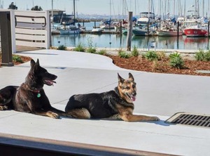 Doubletree | Berkeley