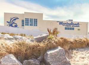 Downtown Getaway | St. Augustine Historic District