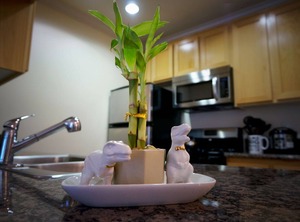 Downtown Staples | City West