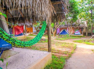 Canto Da Coruja | Sao Jorge