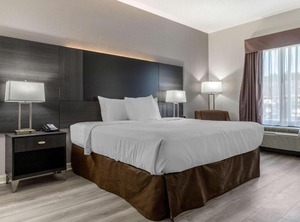 Econo Lodge At The University | Red Hill