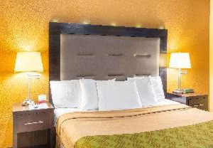 Econo Lodge Summit Scranton | Chinchilla