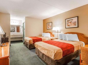 Econo Lodge Cullman | Good Hope