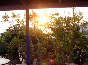 Enjoy Sunrises Cozy | Karlovassi