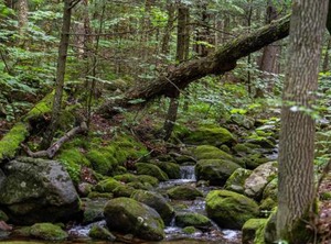 Evergreen Valley Inn | Stoneham