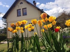 Vrchlabi Vrchlabí | Vrchlabi