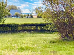 Ferienhäuser Insel Usedom Haus Mila Blick Aufs Achterwasser | Luetow
