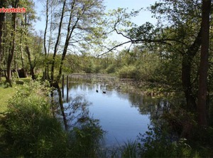 Ferienhaus Waren | Muritz