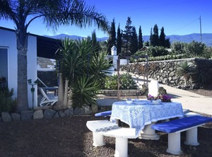 Finca Angelus La Matanza Acentejo | La Matanza de Acentejo