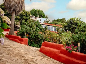 Finca La Chamusca | Santa Barbara