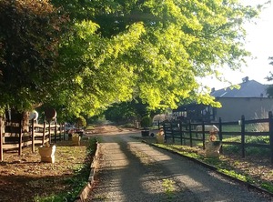 Flitwick Ranch Swartberg South Africa | Greater Kokstad