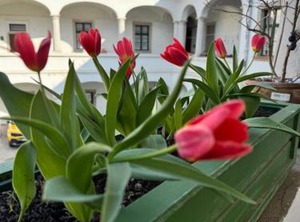 Apartman | Eger