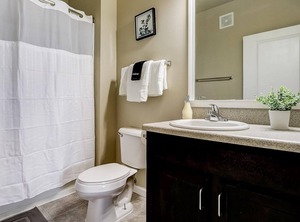 Notre Dame | Roseland