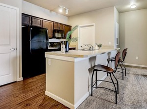 Notre Dame | Roseland